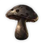 Blackbell Mushroom