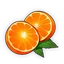 Flora Orange